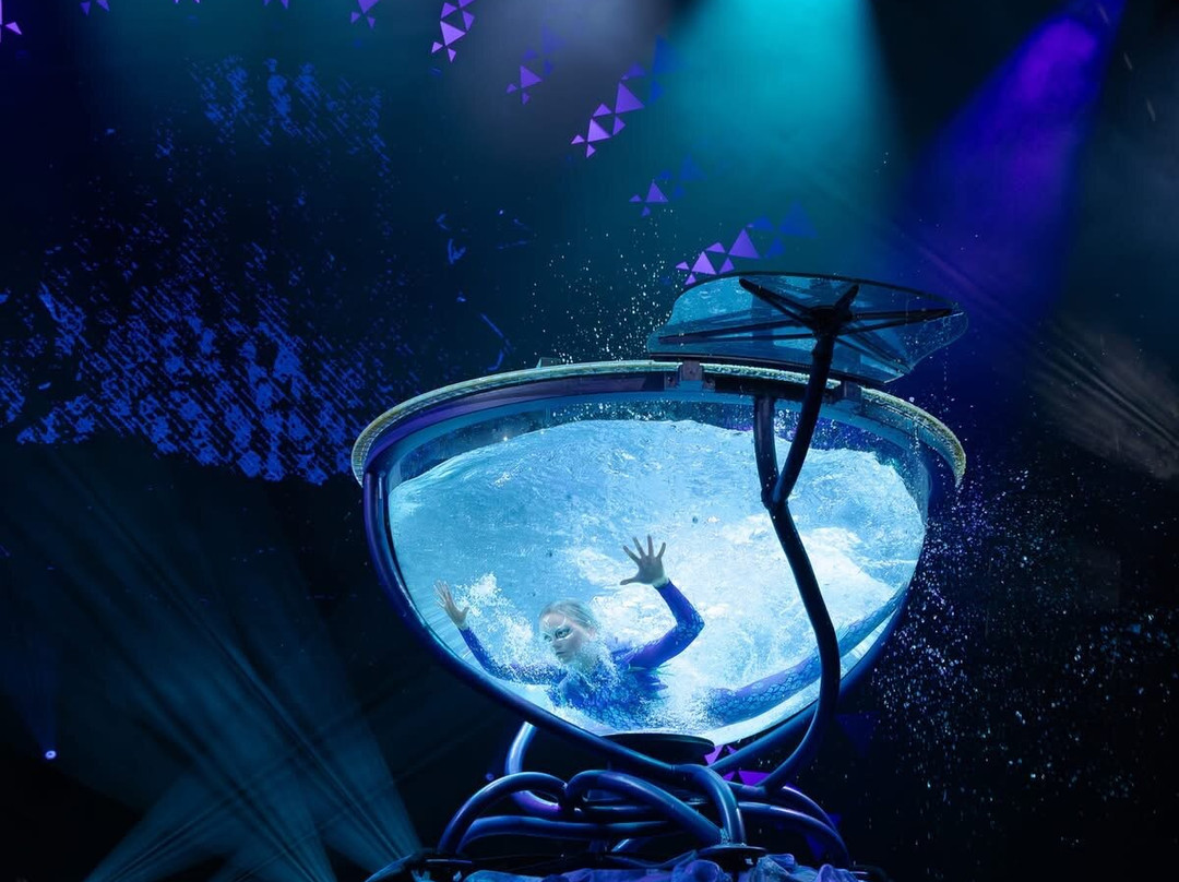 Cirque du Soleil 'Auana-火奴鲁鲁必去景点
