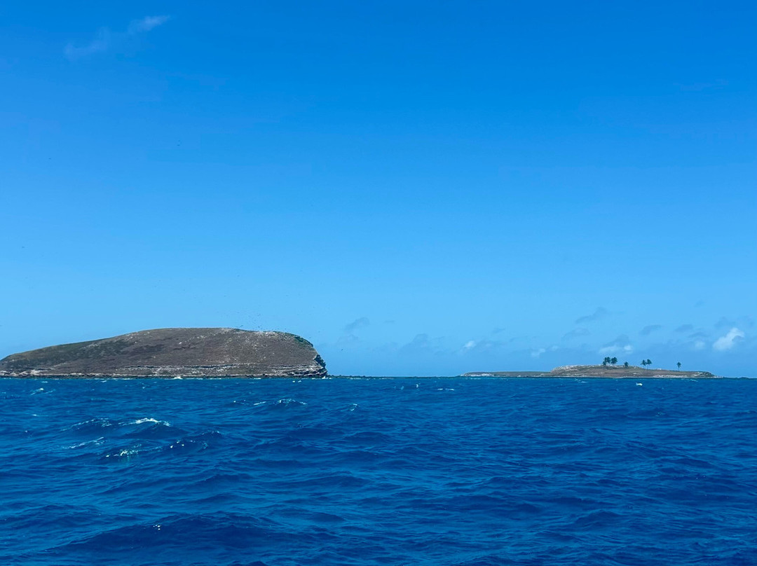 Abrolhos Embarcacoes-Caravelas必去景点
