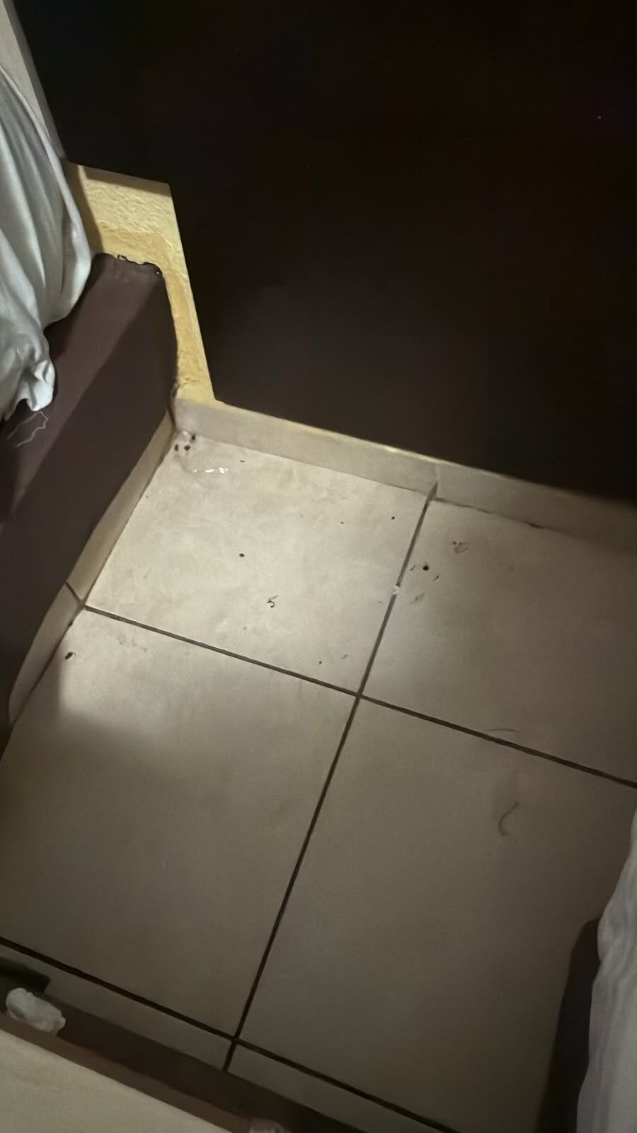 萨尔蒂洛快捷大厦酒店-旅行者