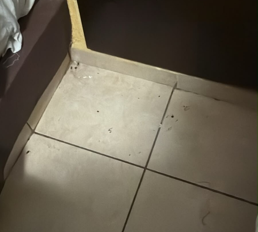 萨尔蒂洛快捷大厦酒店主图