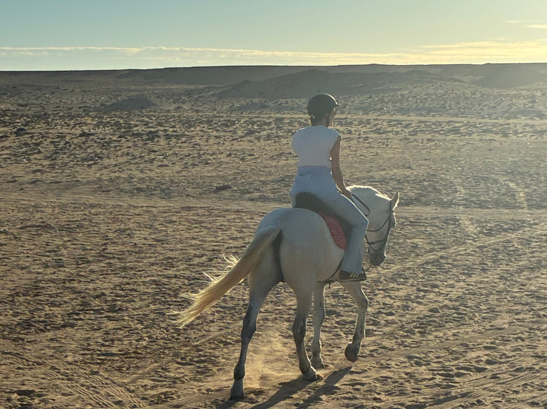 Ranch Des Dunes-达赫拉必去景点