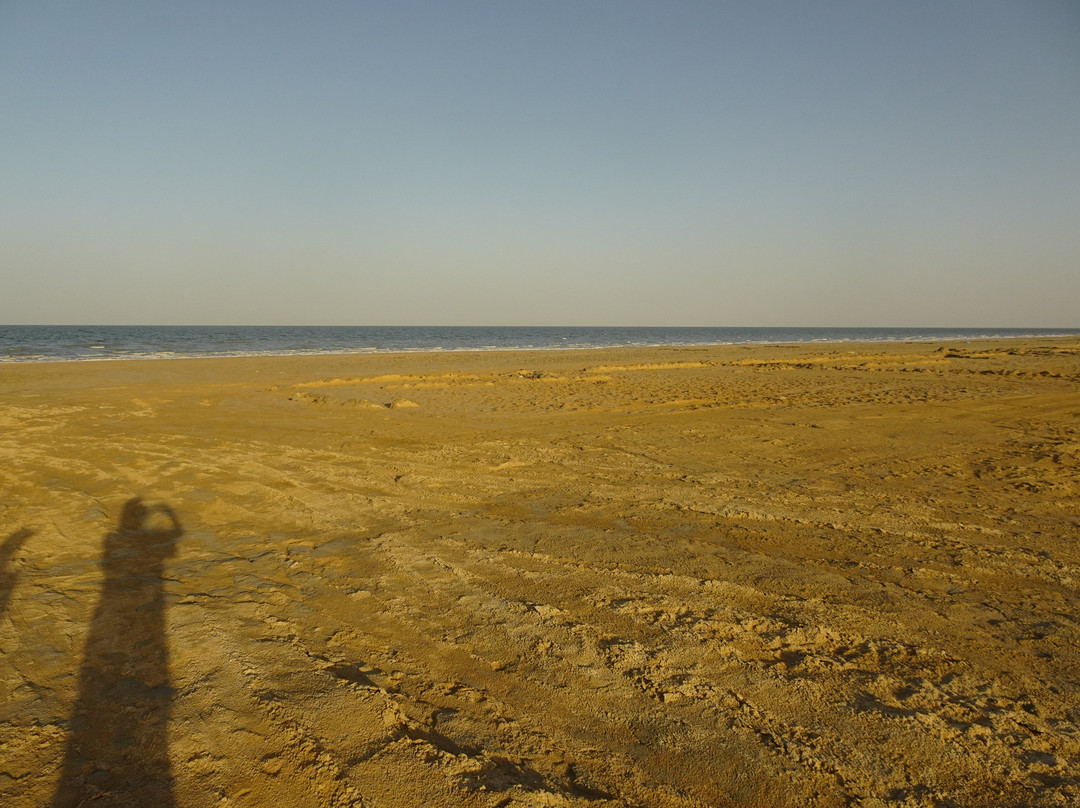 Aral Sea Discovery-Nukus必去景点