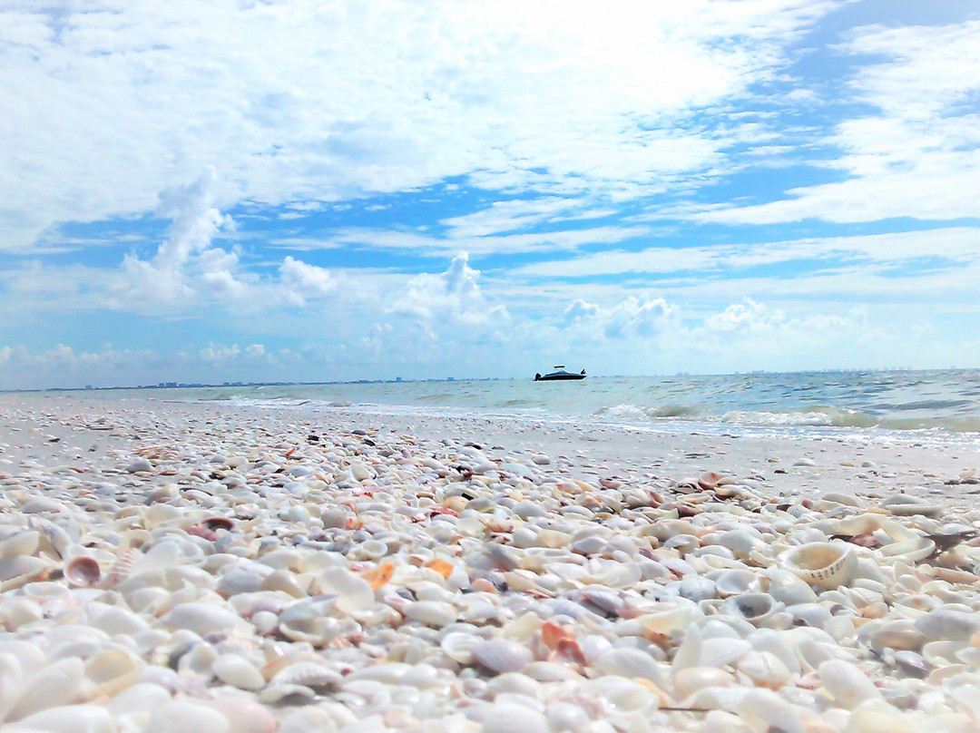 Sanibel旅游攻略图片