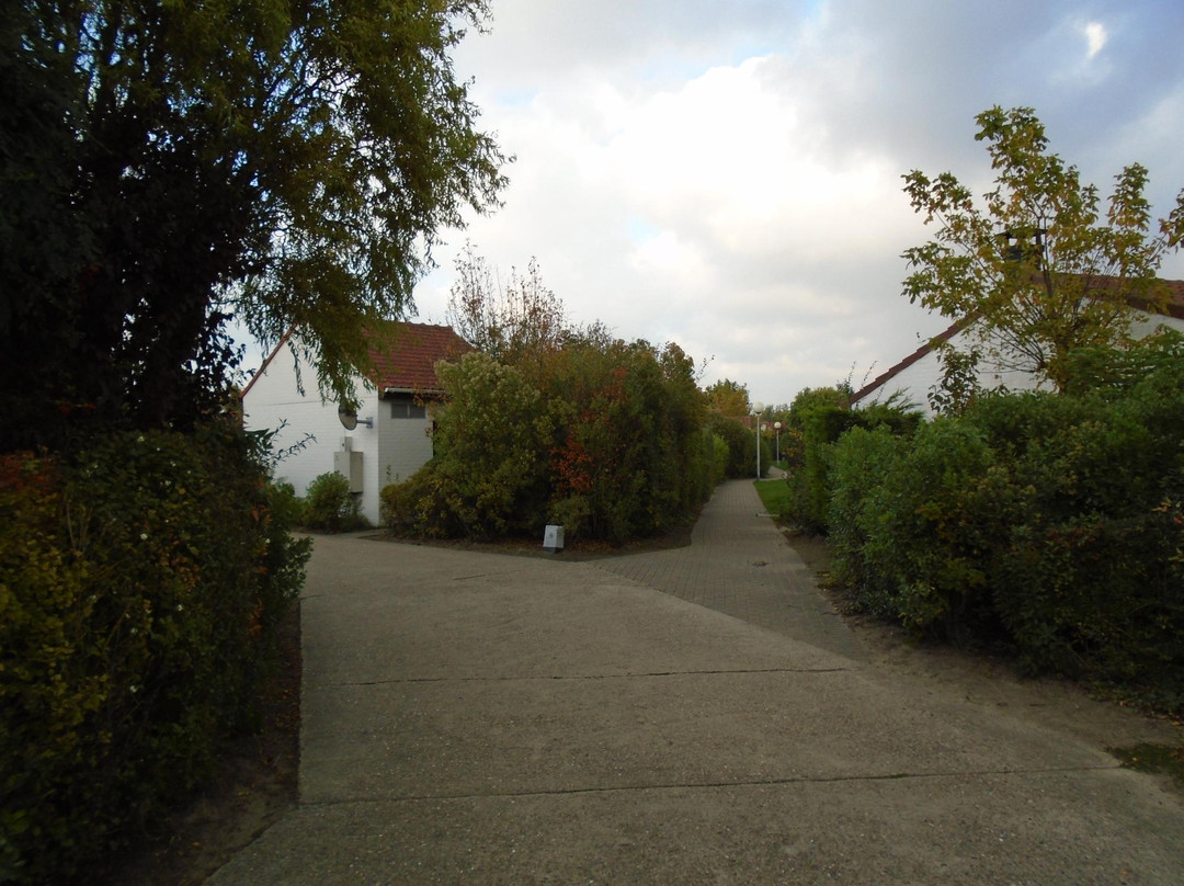 Noordzeepark Zeewind主图