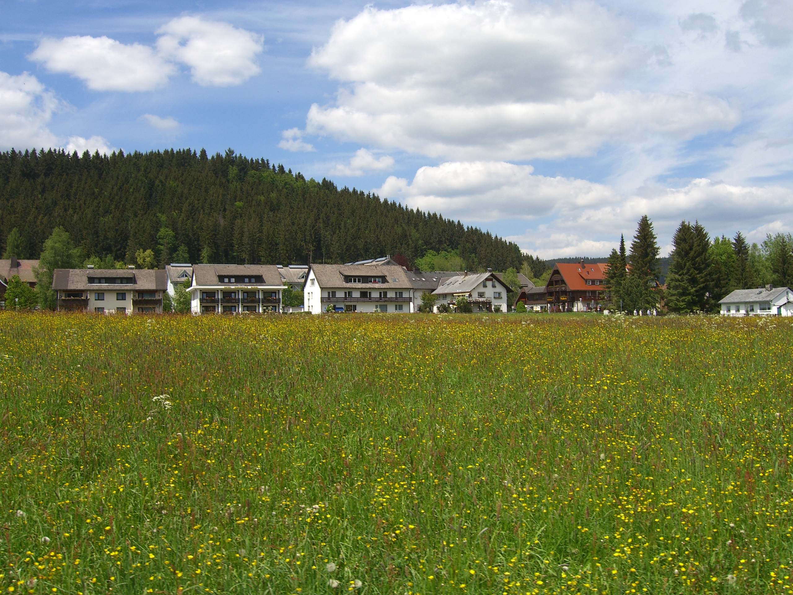 Hotel Rheingold-浴室