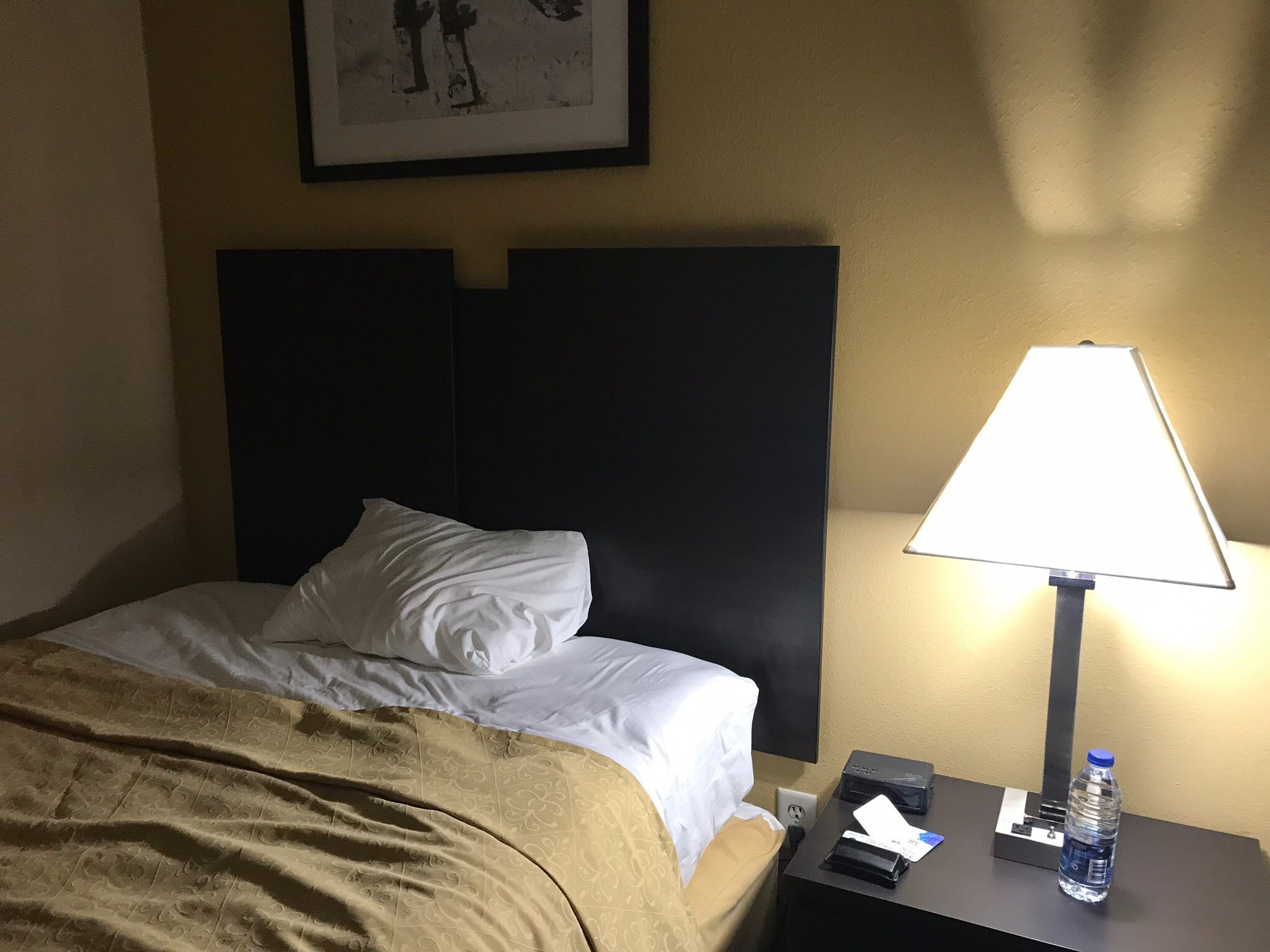 Travelodge by Wyndham South Burlington-官方