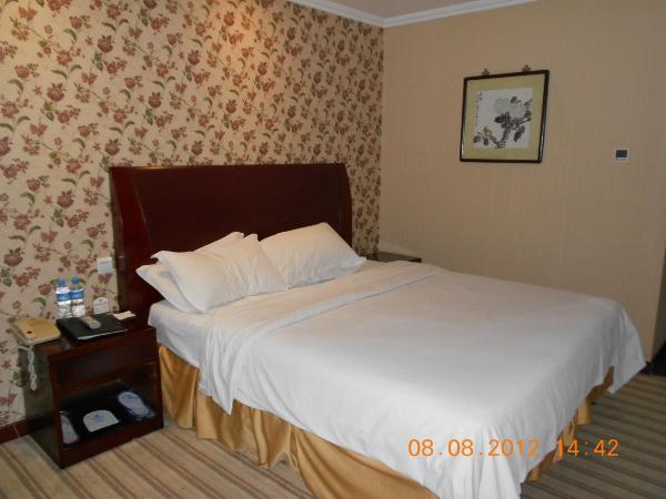 常州锦海国际大酒店-客卧