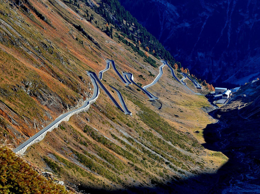 Trafoi酒店住宿-Berghotel Franzenshohe