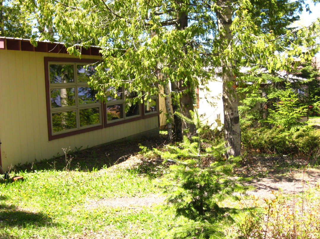 Eagle Harbor酒店住宿-Eagle Lodge and Lakeside Cabins