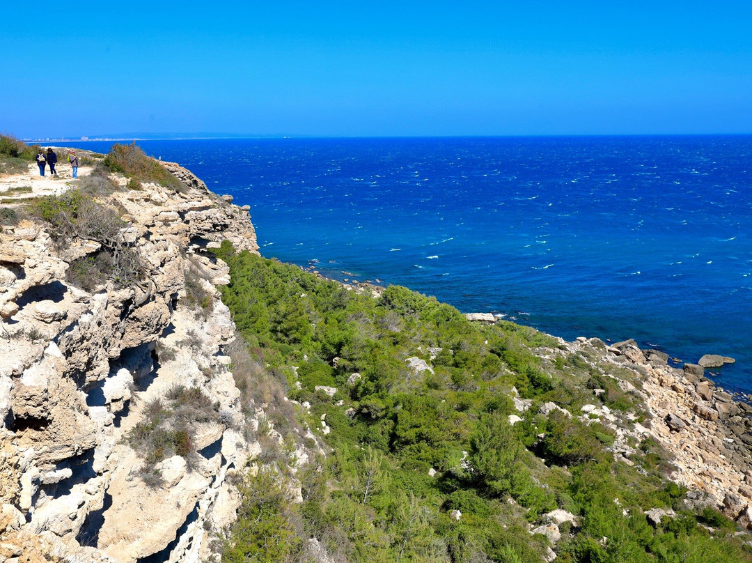 Leucate Falaises-Leucate必去景点