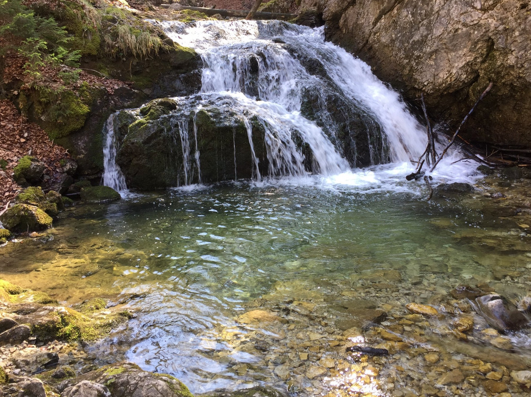 Josefsthaler Wasserfall景点图片