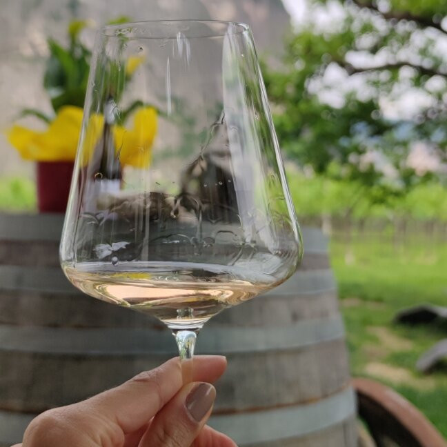 Cantina DE VIGILI景点图片