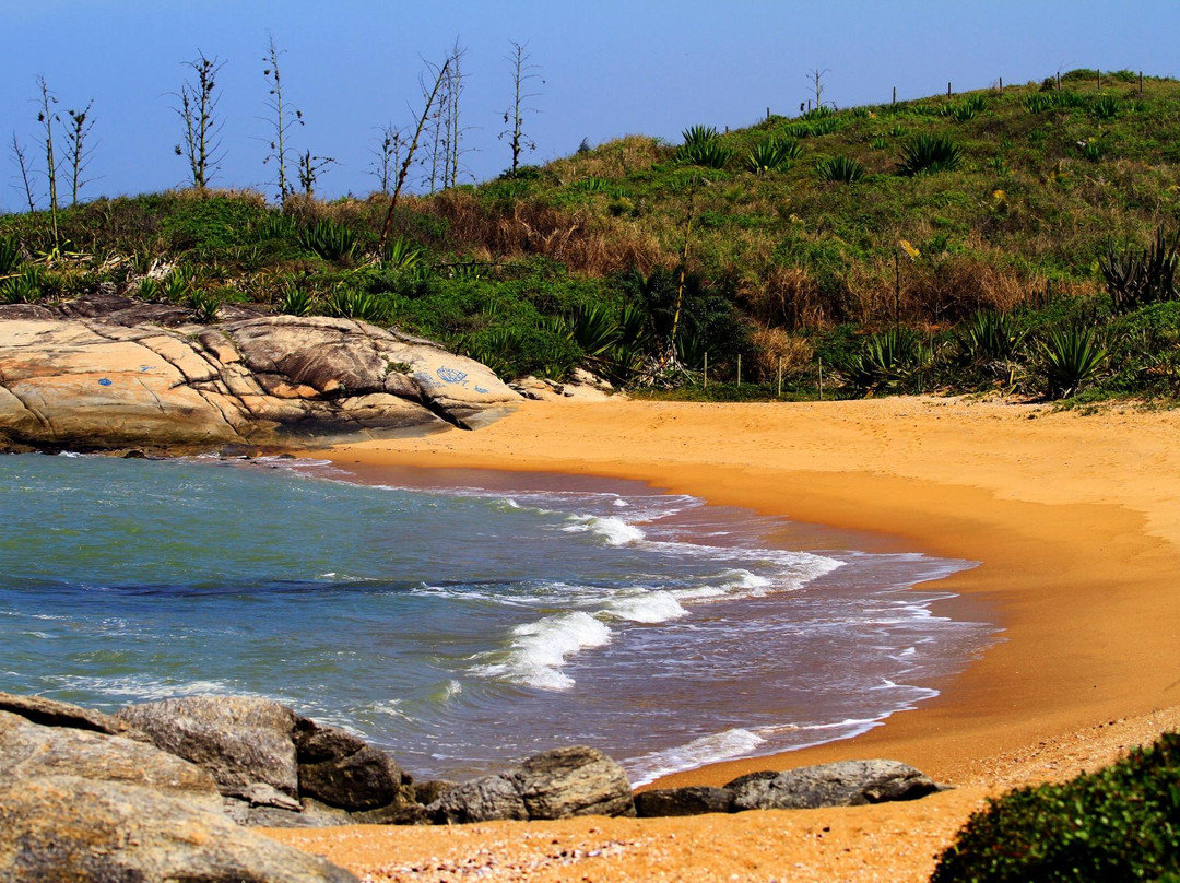 Mar do Norte Beach景点图片