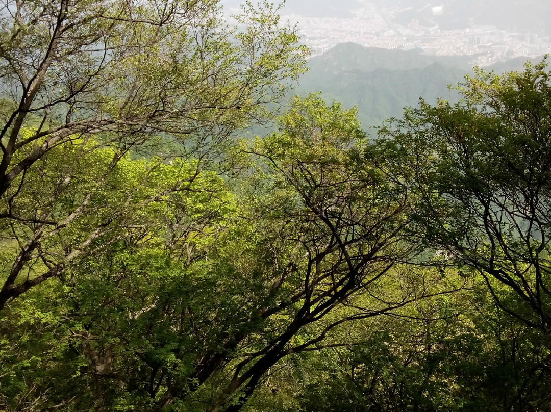 伏牛山滑雪度假区-栾川县必去景点