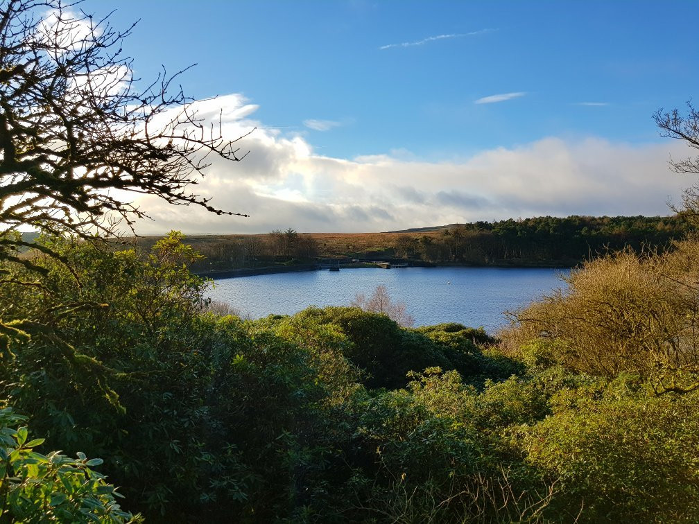 Ogden Water Country Park & Nature Reserve景点图片
