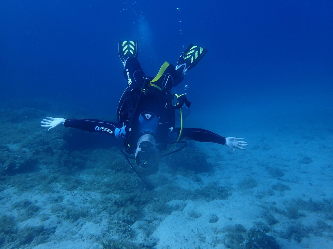 Marathon Divers Club景点图片