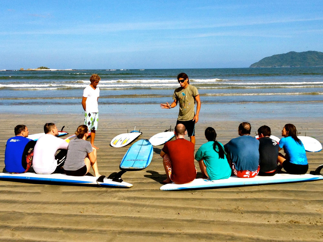 Learn Improve Surf Company景点图片