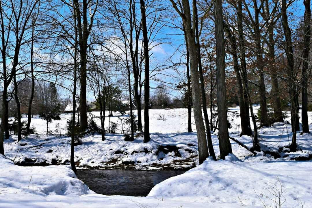 Bradford Creek Greenway景点图片