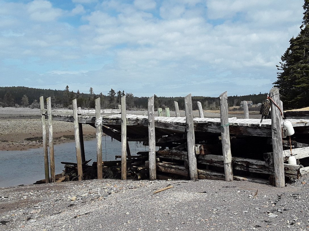 Belding's Reef Nature Preserve-Chance Harbour必去景点