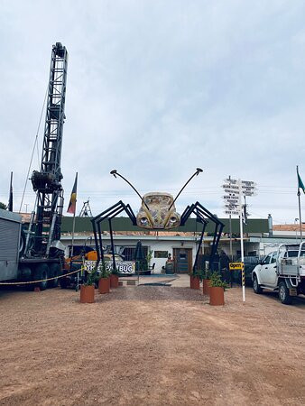 Opal Bug-库伯佩迪必去景点