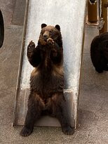 Showa Shinzan Kumabokujo-壮瞥町必去景点