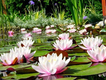 Andornaktalya酒店住宿-Green Park Wellness Vendeghaz