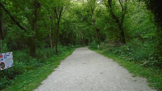 The Exploration Gateway at Sippo Lake Park-坎顿必去景点
