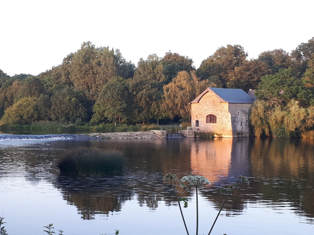 Chambres d'Hotes Vallombry