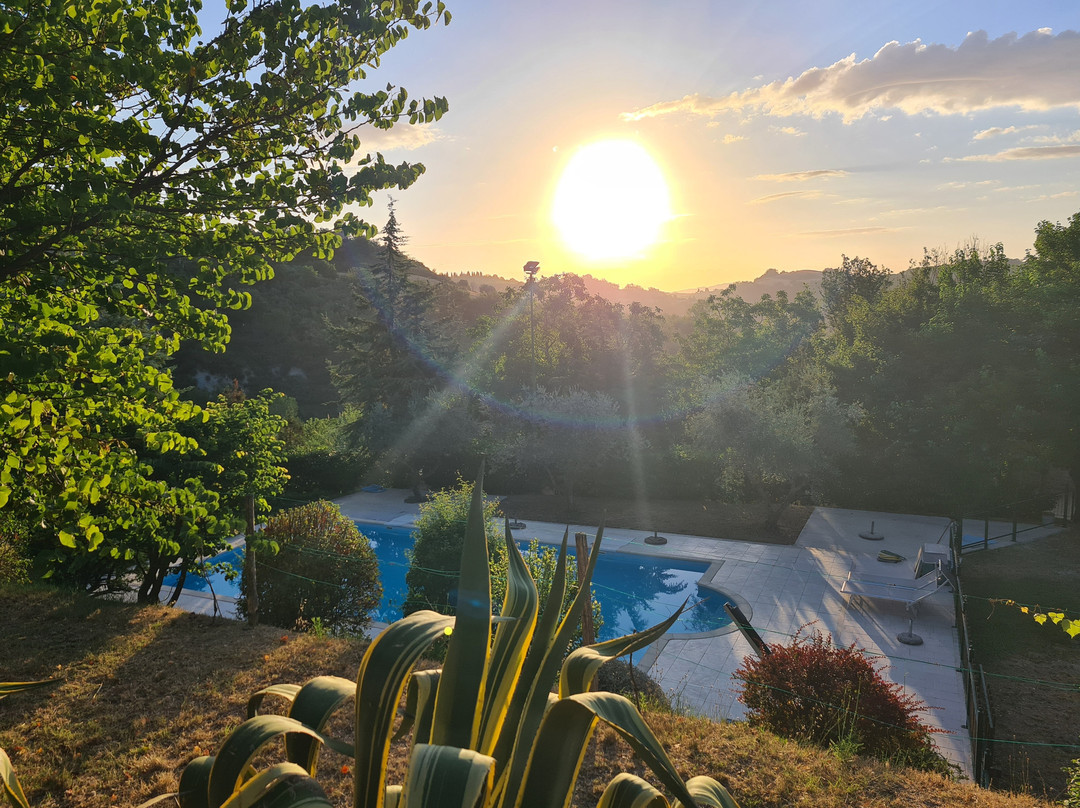 La Collina degli Ulivi