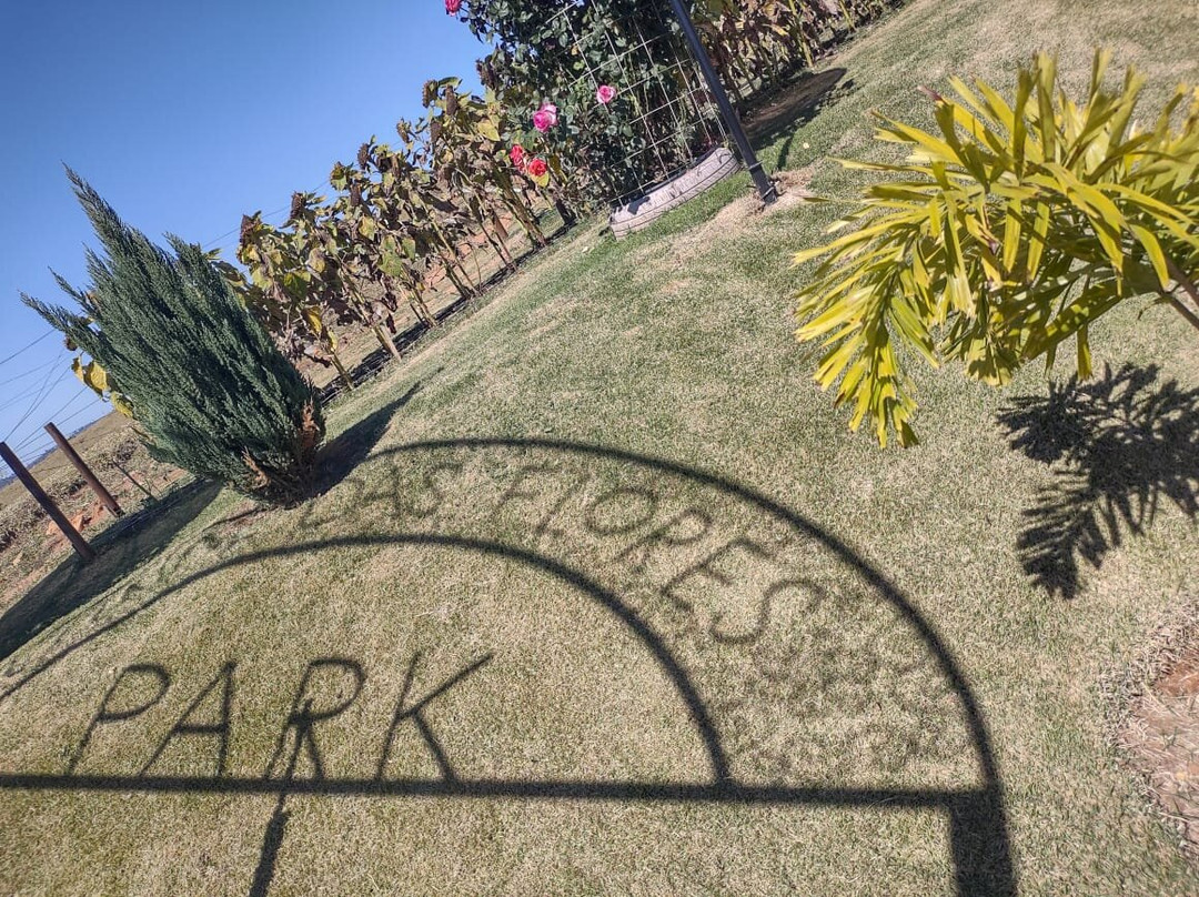 Park Vitrine Das Flores