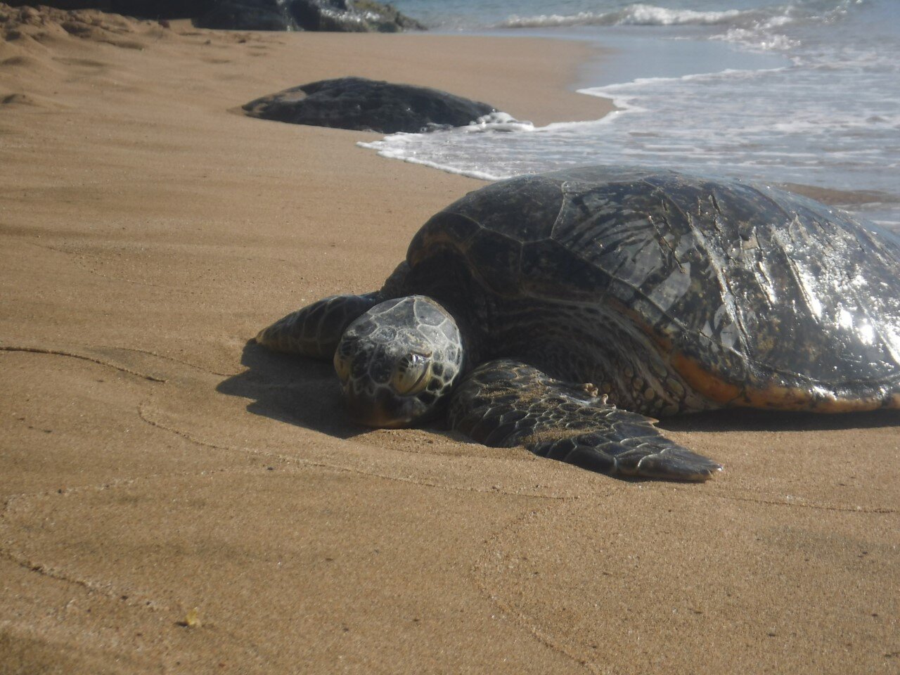 Hale Mahina Beach Resort-泳池
