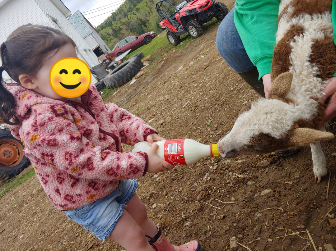 Belding Hill Farms-Hampton必去景点