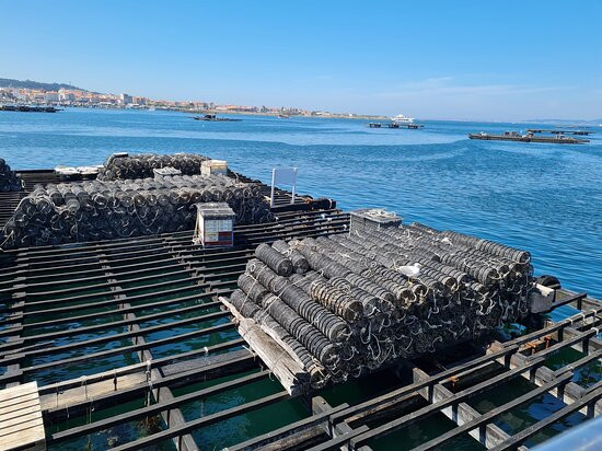 Cruceros Rias Baixas-格罗韦必去景点