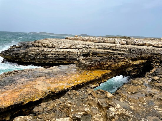 Shelly Jay's Jeep Tours-安提瓜必去景点