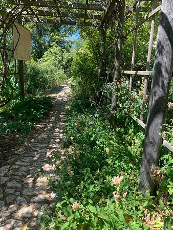 Jardin de l'Abbaye de Valsaintes景点图片