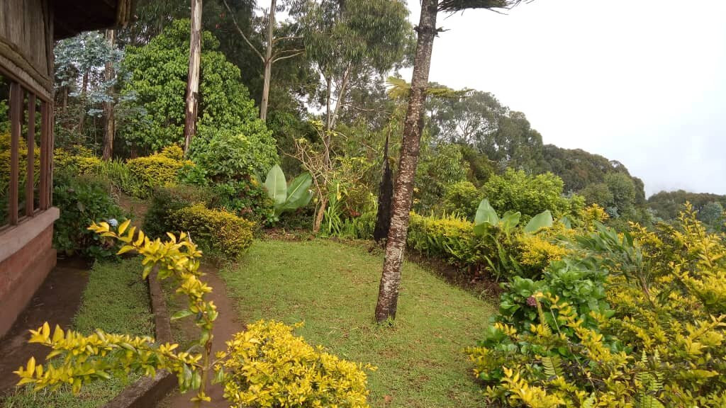 乞力马扎罗山景观旅馆主图