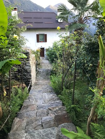 B&B La Locanda del Cinghiale主图