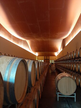 Tenuta Ammiraglia景点图片