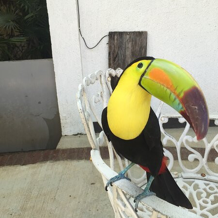 Comfort Inn Palenque, Chiapas主图