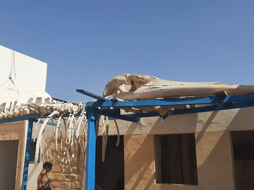 Borj Elhsar-Sidi Fredj必去景点