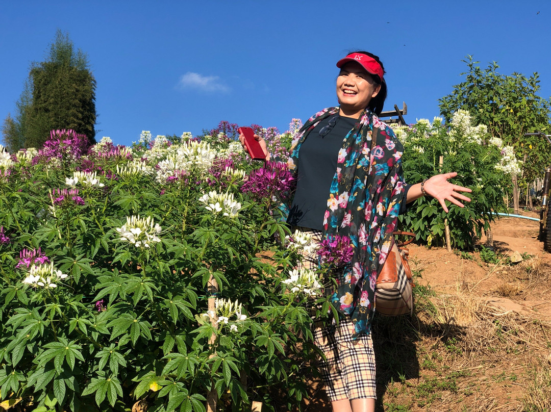 Nadda Thai Tours-清迈必去景点