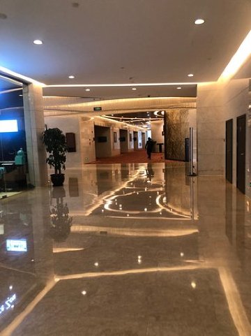 上海夏阳湖皇冠假日酒店-商务中心/多功能厅