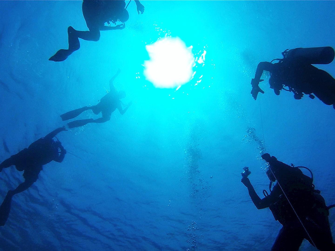 Oasis Dive Club Maldives景点图片