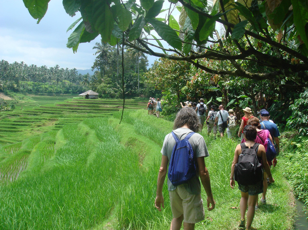 Cempaka Belimbing Cycling & Trekking景点图片