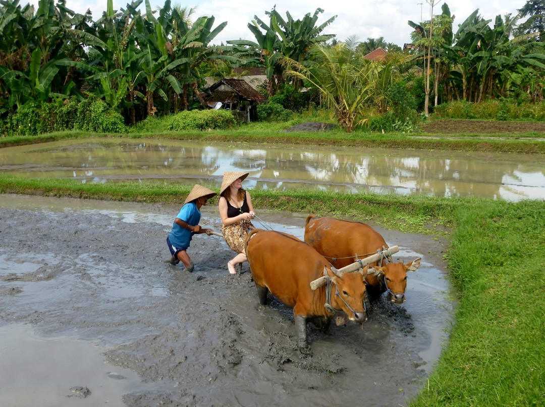 Taman Sari Buwana-达巴南必去景点