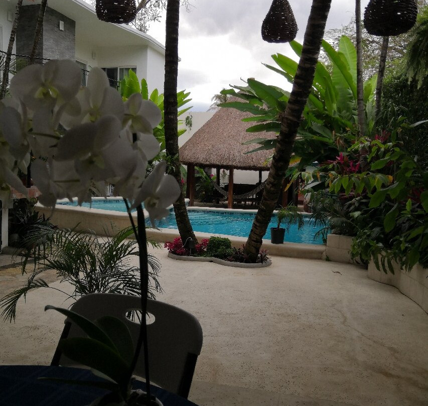 Refugio Huasteco Hotel Boutique
