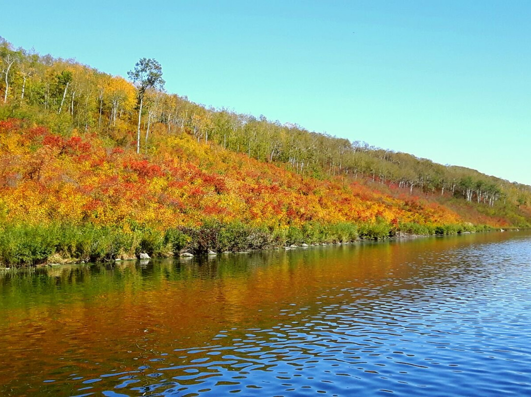 Kipabiskau Regional Park景点图片