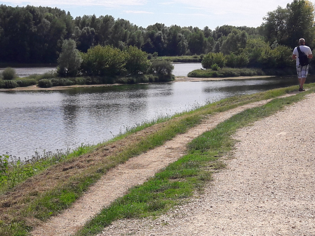 Chateauneuf-sur-Loire旅游攻略图片