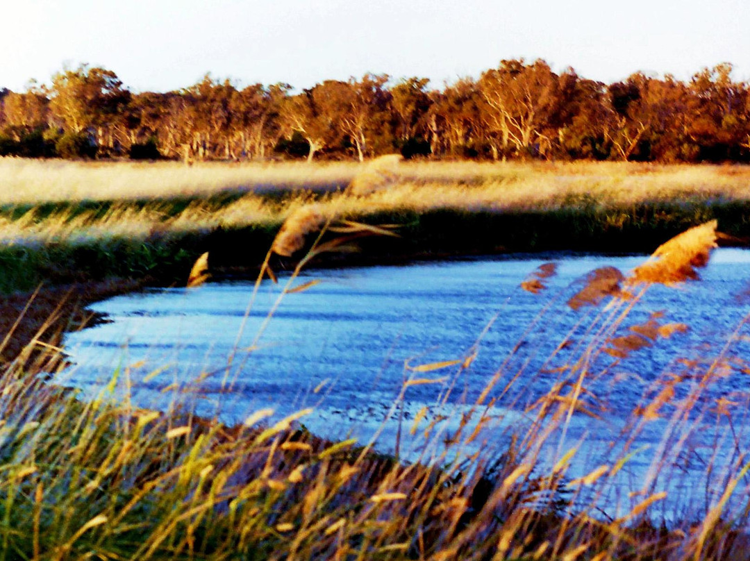 Braeside旅游攻略图片