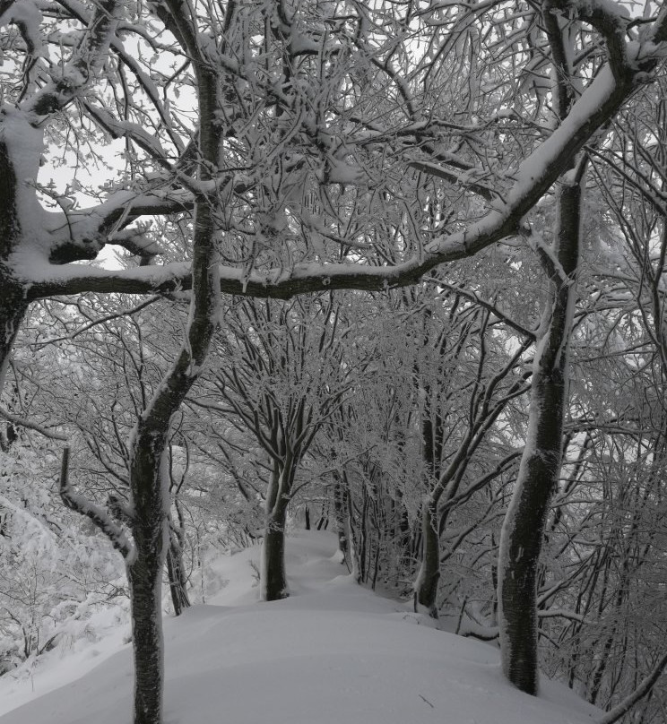 Parco Naturale Regionale dell'Antola景点图片
